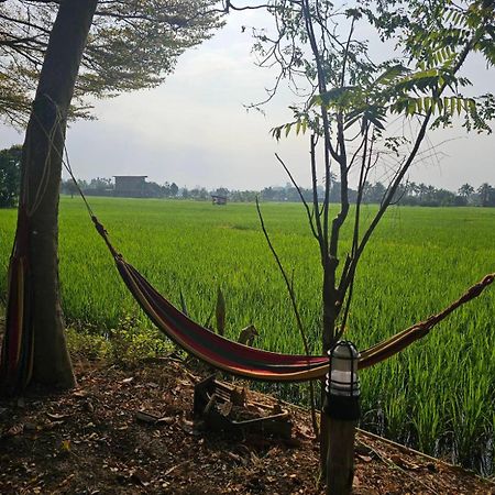 Tung Tong Homestay & Camping Mae Rim Bagian luar foto
