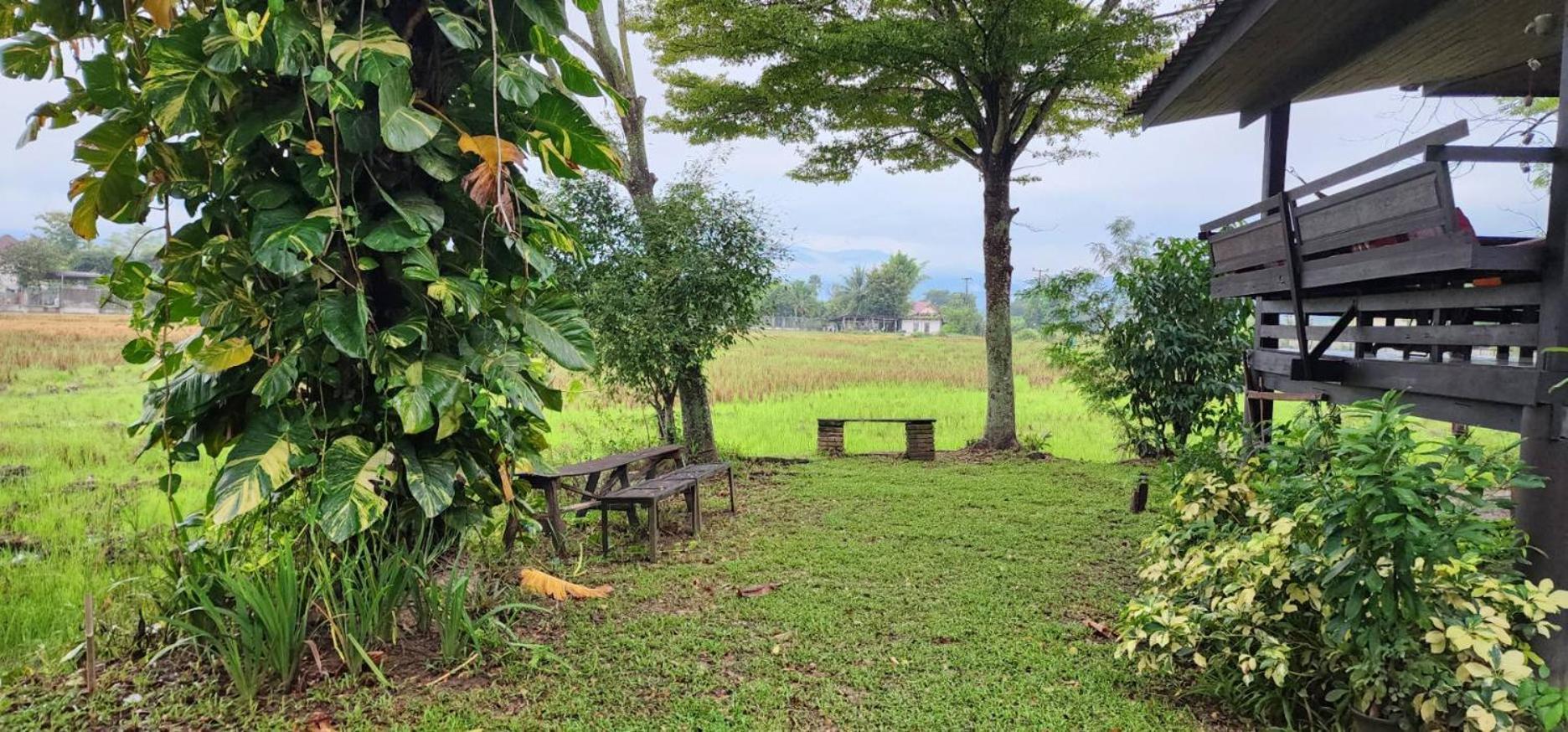 Tung Tong Homestay & Camping Mae Rim Bagian luar foto