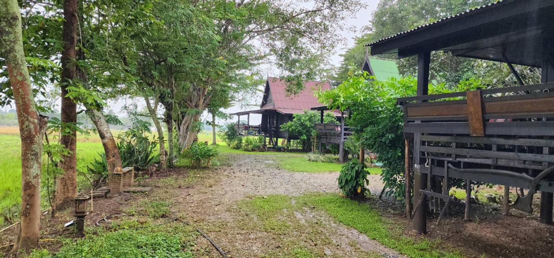Tung Tong Homestay & Camping Mae Rim Bagian luar foto