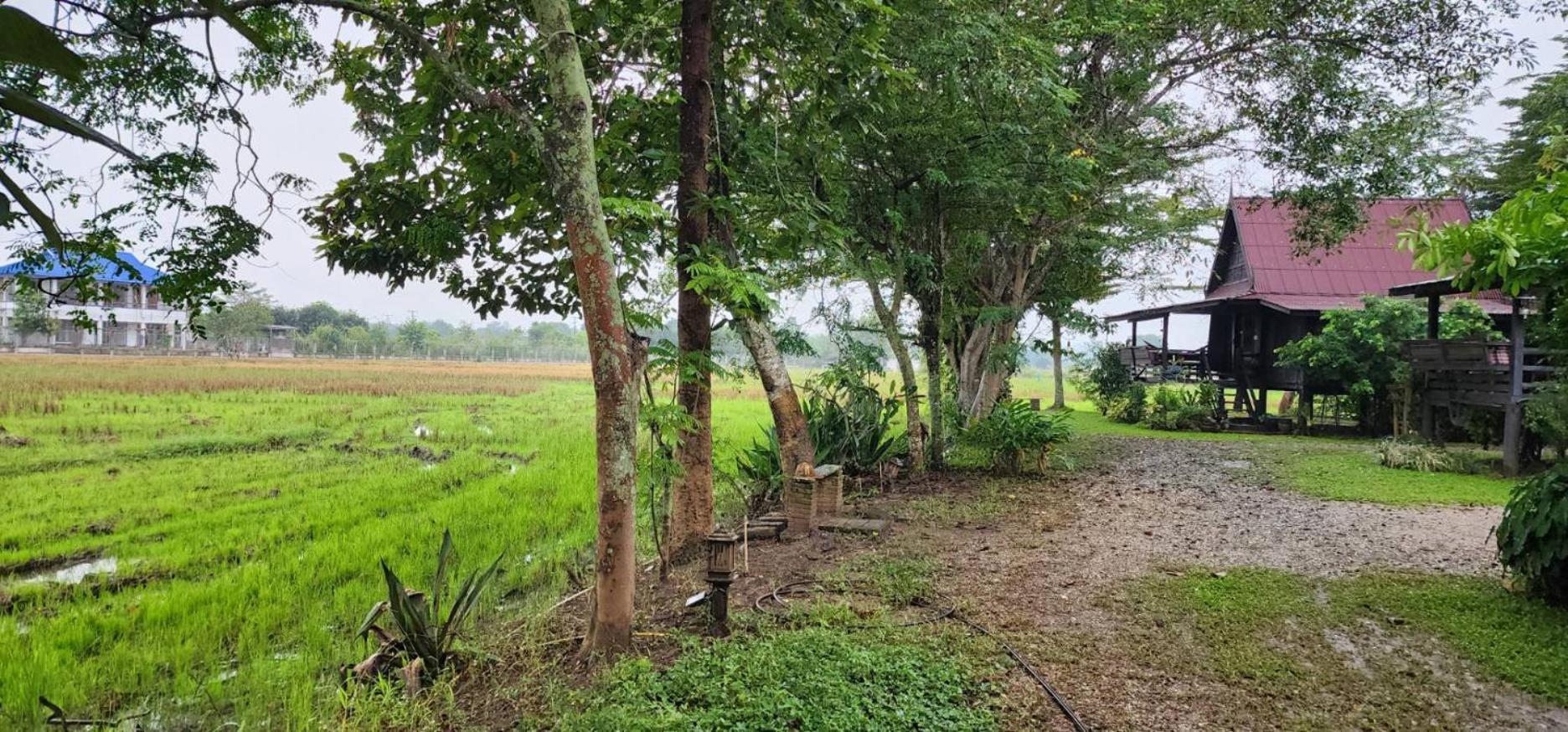 Tung Tong Homestay & Camping Mae Rim Bagian luar foto