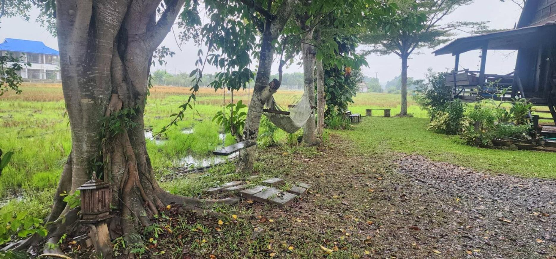Tung Tong Homestay & Camping Mae Rim Bagian luar foto