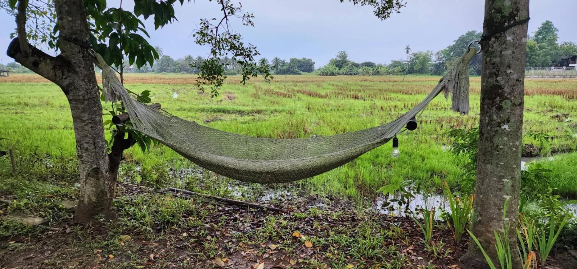 Tung Tong Homestay & Camping Mae Rim Bagian luar foto