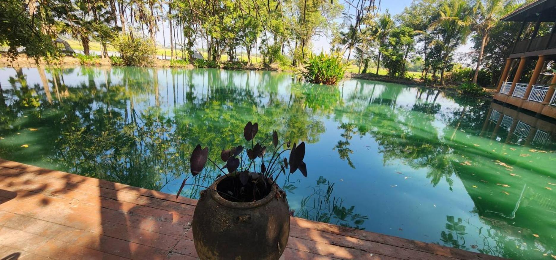 Tung Tong Homestay & Camping Mae Rim Bagian luar foto
