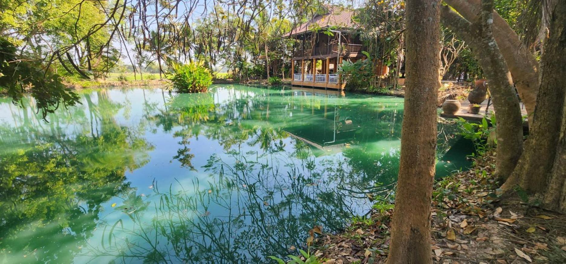 Tung Tong Homestay & Camping Mae Rim Bagian luar foto