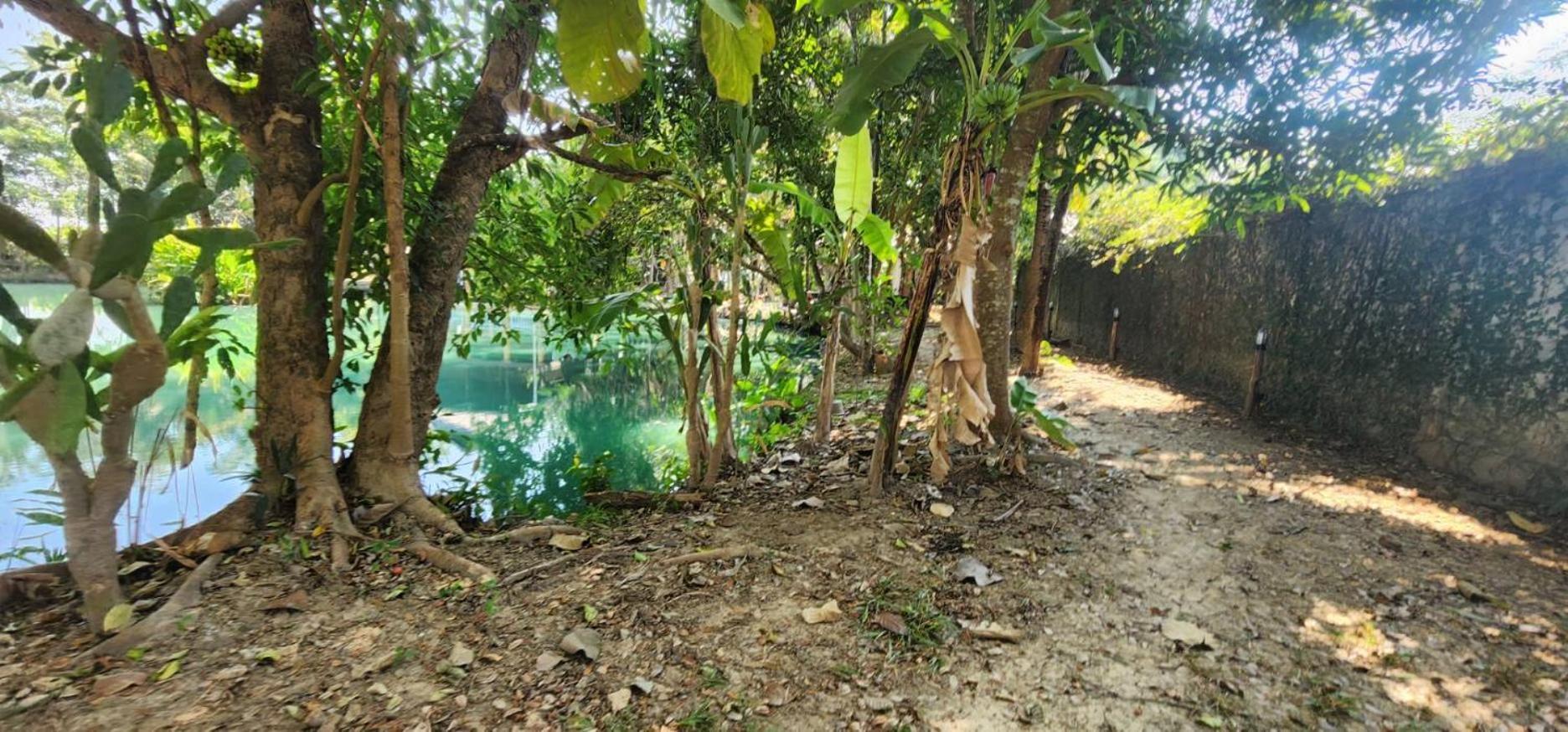 Tung Tong Homestay & Camping Mae Rim Bagian luar foto