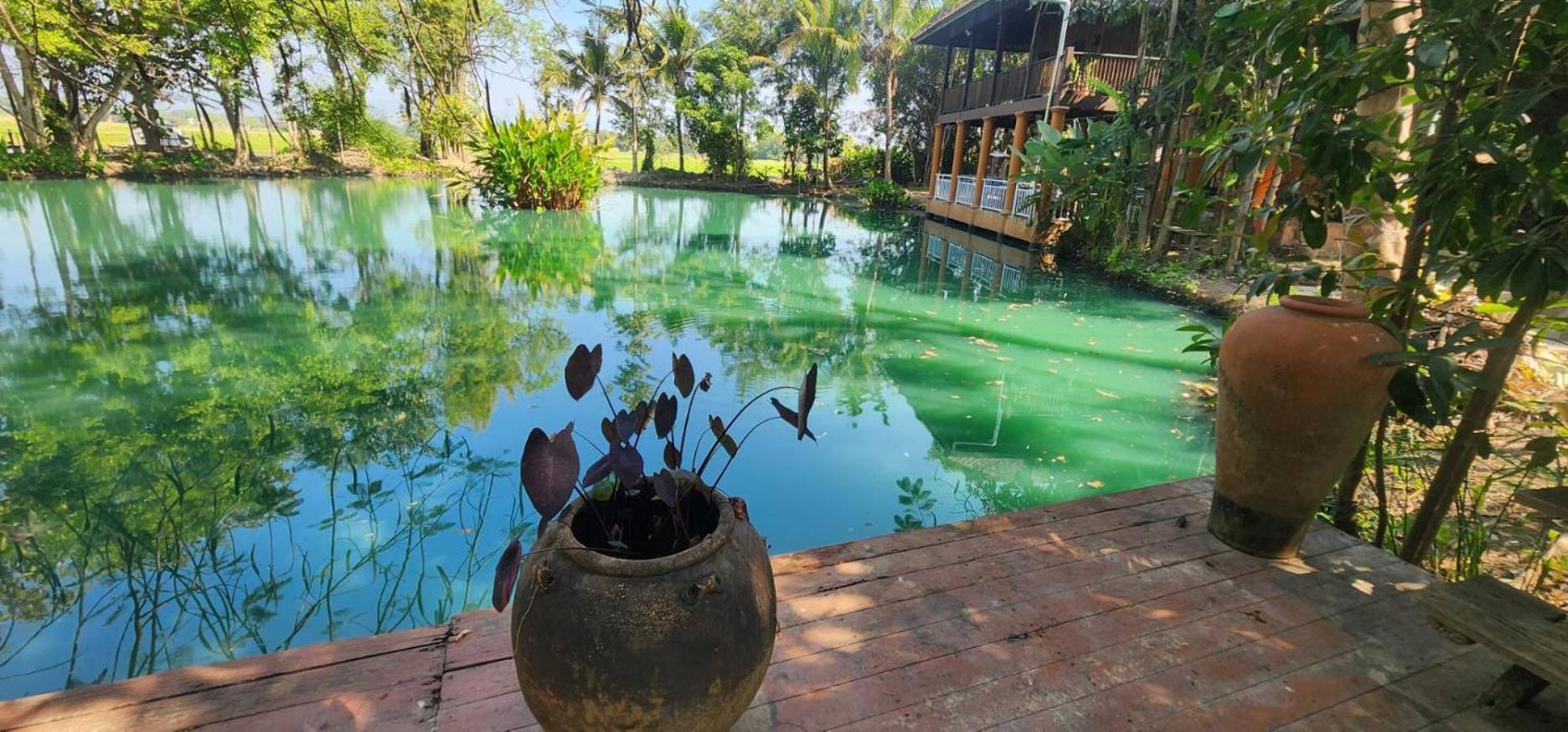 Tung Tong Homestay & Camping Mae Rim Bagian luar foto