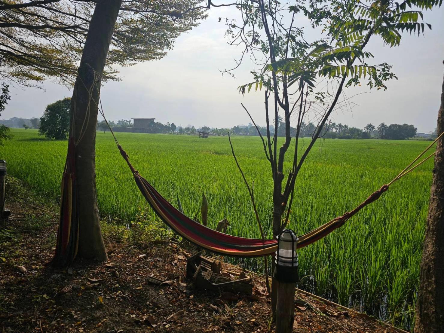 Tung Tong Homestay & Camping Mae Rim Bagian luar foto