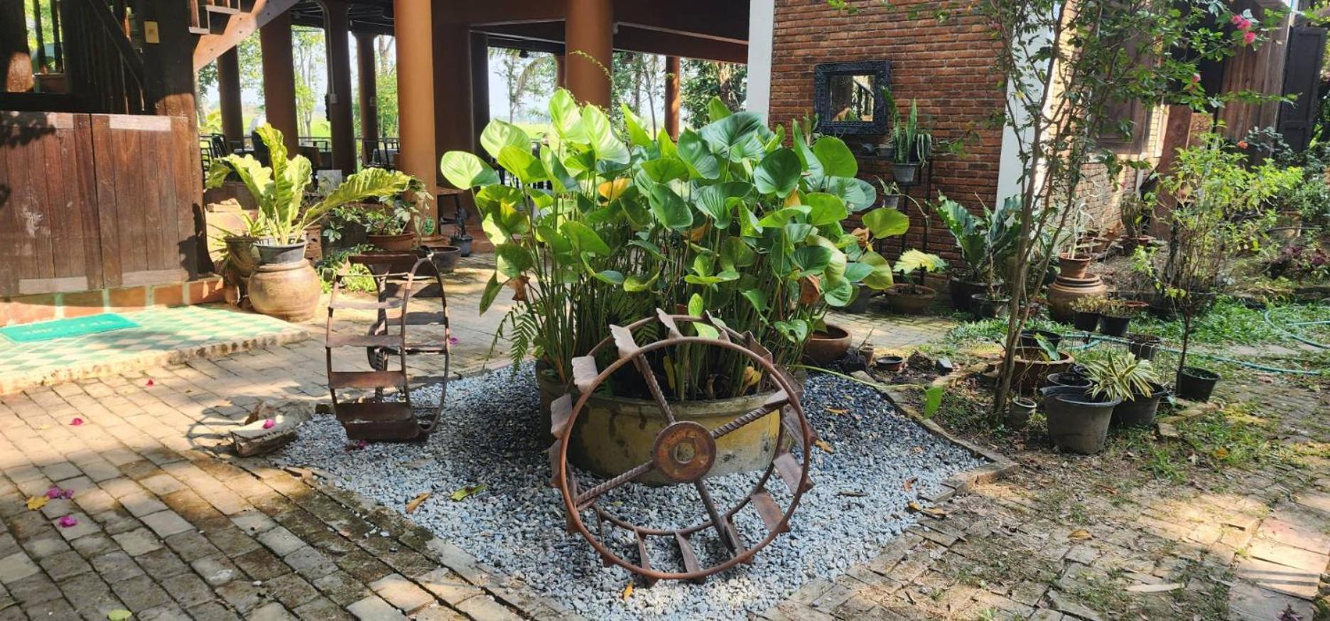 Tung Tong Homestay & Camping Mae Rim Bagian luar foto