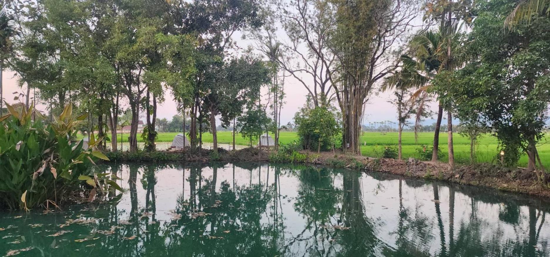 Tung Tong Homestay & Camping Mae Rim Bagian luar foto