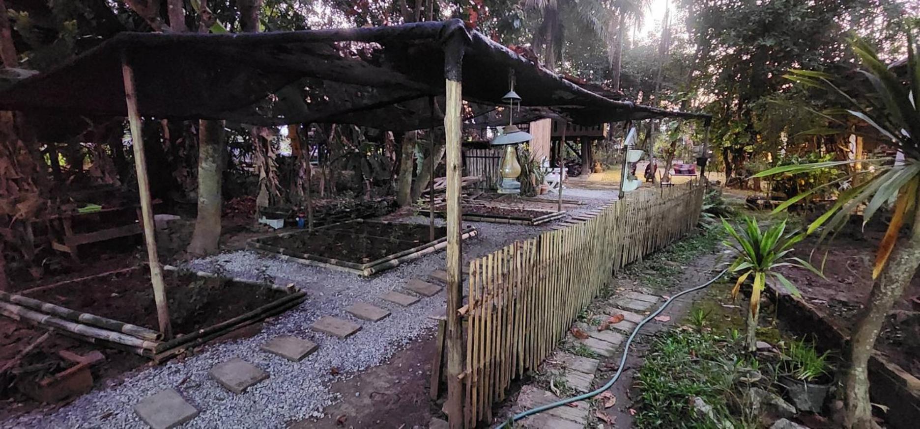 Tung Tong Homestay & Camping Mae Rim Bagian luar foto