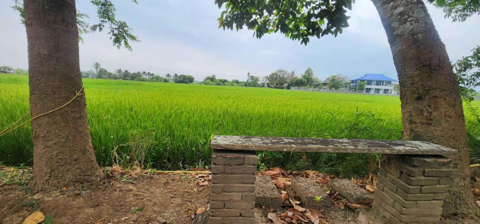 Tung Tong Homestay & Camping Mae Rim Bagian luar foto