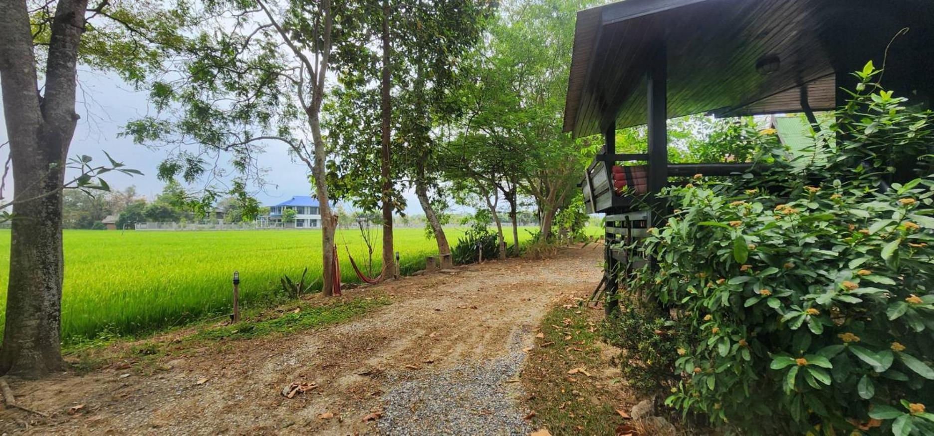 Tung Tong Homestay & Camping Mae Rim Bagian luar foto