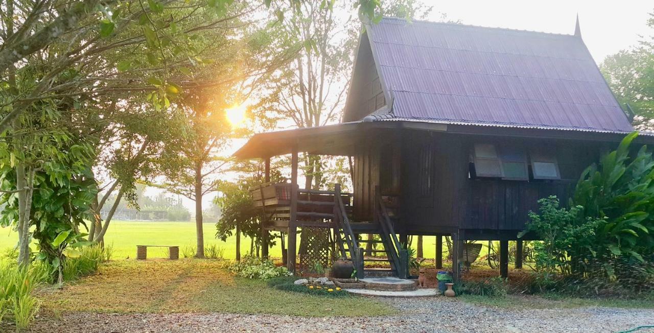 Tung Tong Homestay & Camping Mae Rim Bagian luar foto
